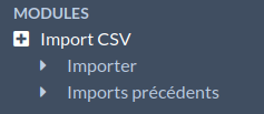 Options de sous-onglet d'Import CSV dans la navigation de gauche