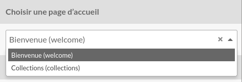 Liste déroulante de sélection de page d'accueil qui montre toutes les pages du site
