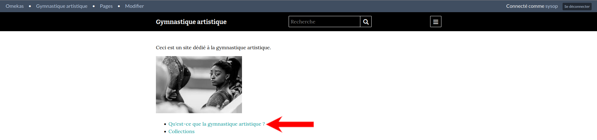 Arrow points to instances of main accent color in use